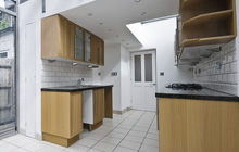 Wilmington Green kitchen extension leads